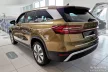 Avisa mătase protecție de bară din oțel argintie SKODA KODIAQ II 2024->