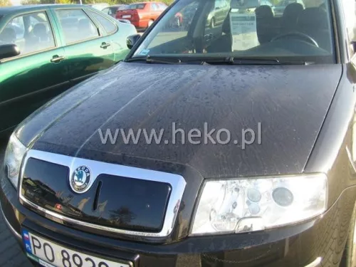 De iarnă husă de grilă Škoda Superb I. 2002-2006