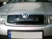 De iarnă husă de grilă Škoda Fabia I. 2000-2007