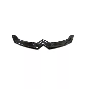 EgriAuto deflector capotă CITROEN C-Crosser 20072012
