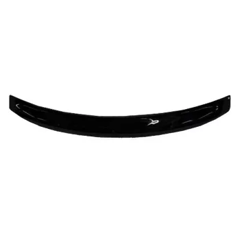   EgriAuto deflector de vânt motorház VOLKSWAGEN Passat B5 1996-2000