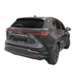 EgriAuto tavă de portbagaj neagră antiderapantă Lexus NX AZ20 2021-