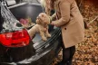 Tavă de portbagaj din cauciuc premium FORD S-max van 2015- cu 7 locuri (3. rând de scaune rabatat) (DZ403260)