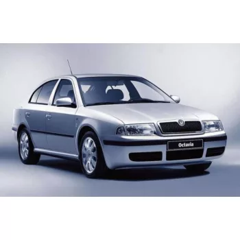   Sporty 2 mai multe bucăți Deflector de vânt Lancia Lybra 5 usi, SKODA Octavia I. 4 usi 1996-2010, SKODA Octavia