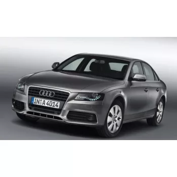 Sporty 2 bucăți Deflector de vânt Audi A4, 4-5 usi, 2008-