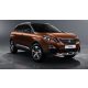 Szatuna Peugeot 3008 Szatuna deflector set pentru lunetă față + spate, 4Pe bucăți 5 2017-